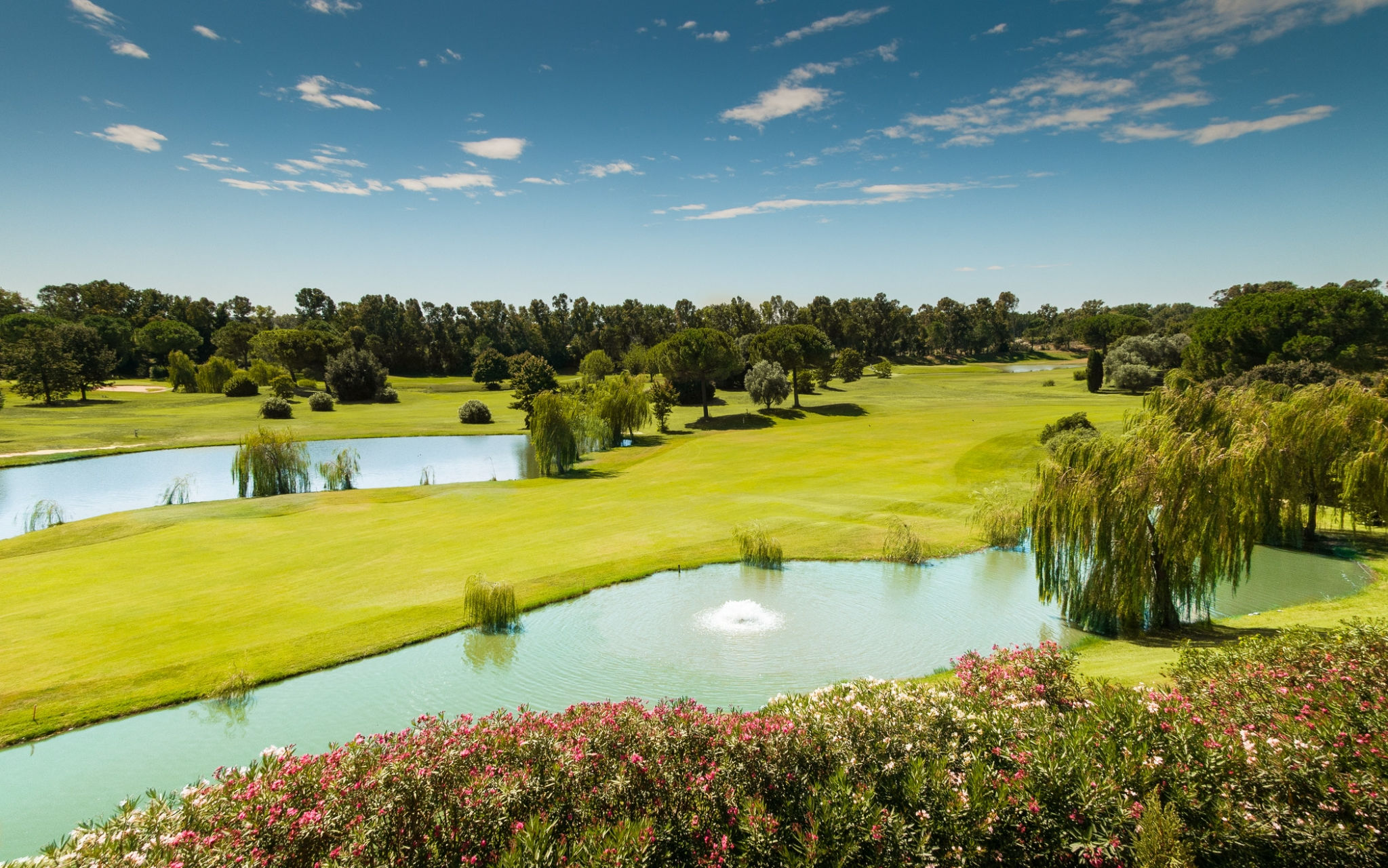 Golf Club, Sheraton Parco de' Medici Hotel Rome Hotel